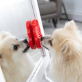 Licks