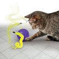 Purrsuit Whirlwind