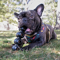 KONG Extreme Goodie Ribbon