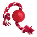 Red natural rubber ball dog toy with a red and white rope through the center.