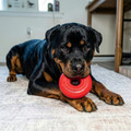 KONG Donut