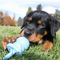 KONG Binkie Blue