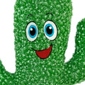 Kickeroo Cactus