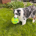 Flexball Sport Ball
