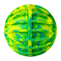Flexball Sport Ball