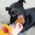 Jerky Chicken