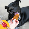 Jerky Chicken