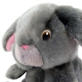 Toughz Bunny