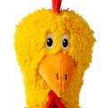 Knots Chicken