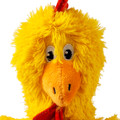 Knots Chicken