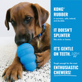 KONG Puppy Goodie Bone, Blue