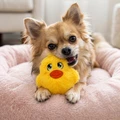 Snuzzles Mini Duck