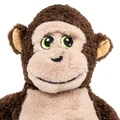 Knots Monkey