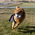 Wubba Sport, Soccer Ball