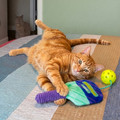 Sport PicklePaw