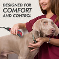 KONG 2-Speed Pet Grooming Clipper Kit