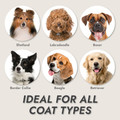 KONG 3-Speed Cordless/Corded Pet Grooming Clipper Set