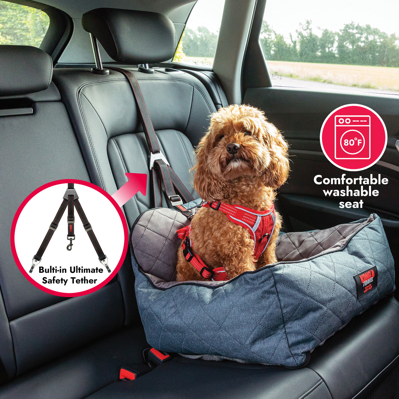 Kong Ultimate Safety Tether and Seat | PetSmart