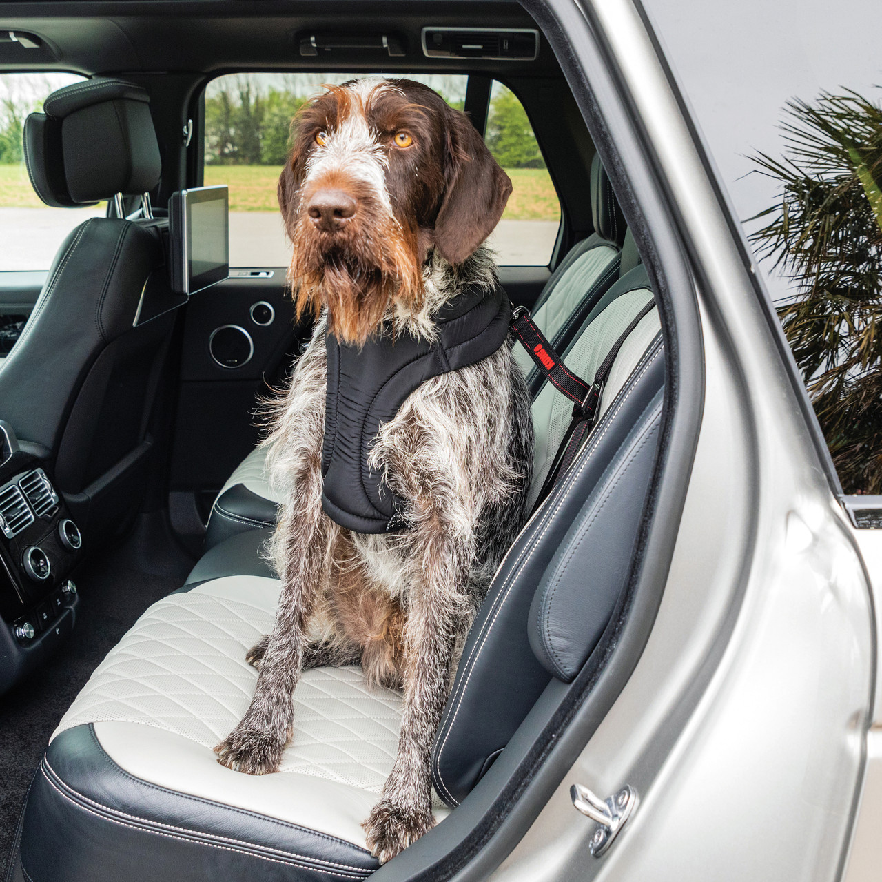 Kong Ultimate Safety Car Seat Tether