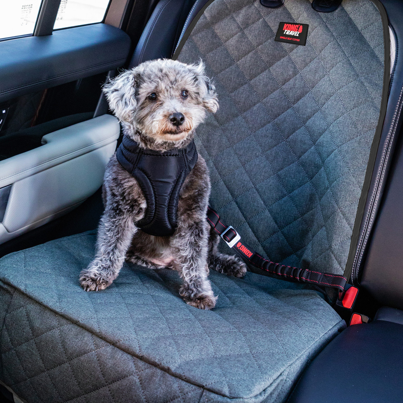 Kong Deluxe Swivel Tether Dog Safety Belt, Black & Red