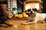 A Happier, Safer Home for the Holidays