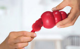 The Importance of Cleaning Dog Toys