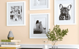 Pets and Home Decor: Incorporating Your Furry Family Members Into Your Interior Design