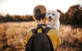 Prevent Your Dog's Back to School Blues