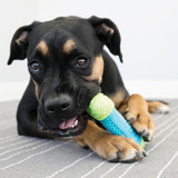 CoreStrength Bone