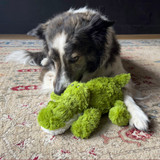 Cozie Ali Alligator