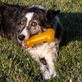 Squeezz Crackle Bone, Assorted Colors