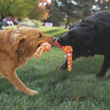 Rope Bunji, Assorted Colors