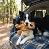 Wild Knots Bear, Assorted Colors