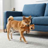 Wild Knots Bear, Assorted Colors