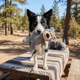 Wild Knots Bear, Assorted Colors