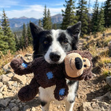 Wild Knots Bear, Assorted Colors