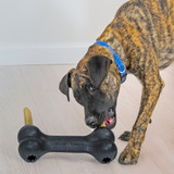 KONG Extreme Goodie Bone
