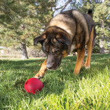 KONG Classic Ball