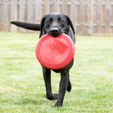 KONG Flyer