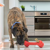 KONG Goodie Bone