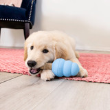 Ziggies Enhanced, Puppy