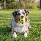 SqueakAir Balls, 3 Pack