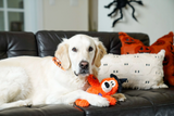 The KONG®  Fall Play Checklist: 10 Ways to Make Autumn Your Pet's Favorite Season