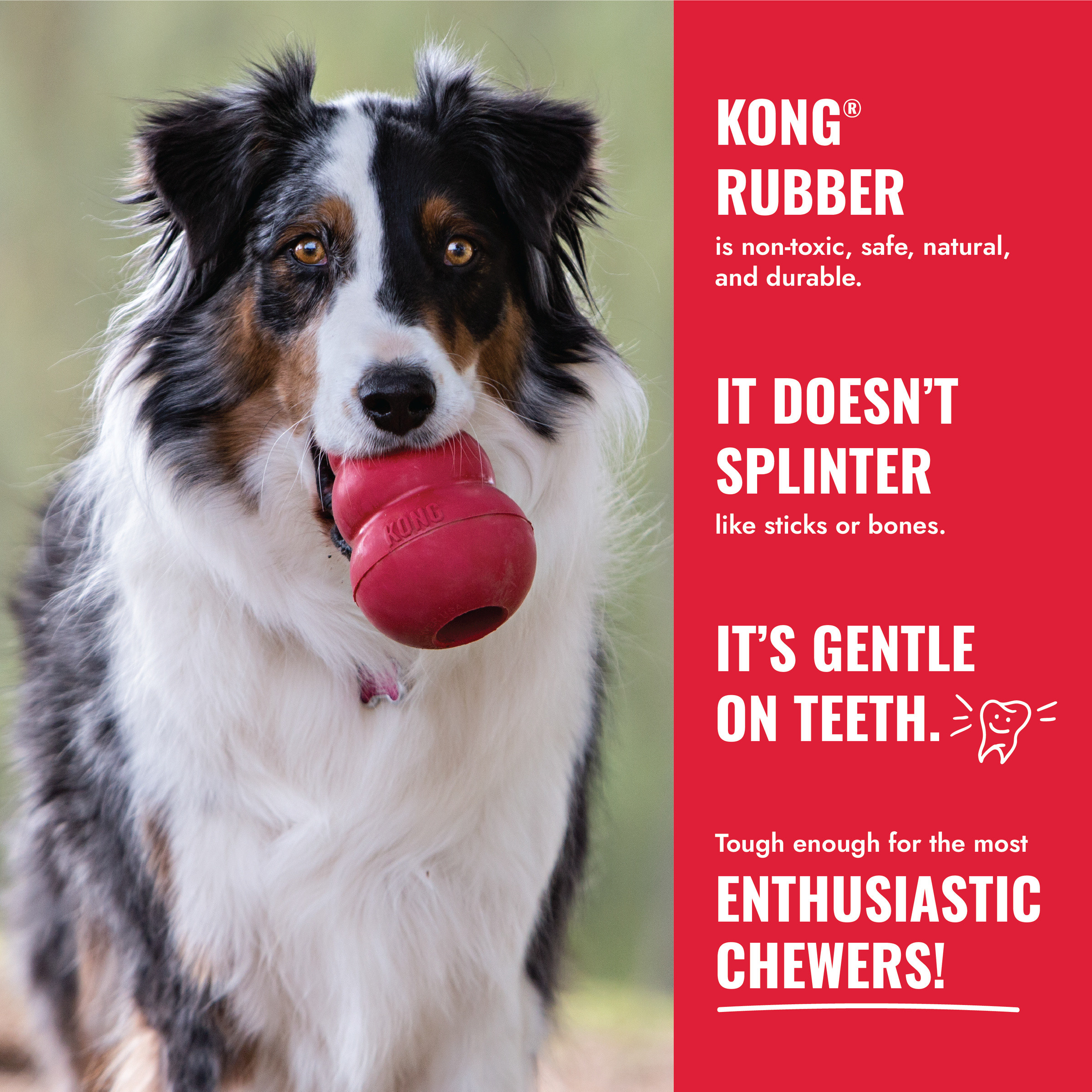 【KONG】紅色經典抗憂鬱玩具