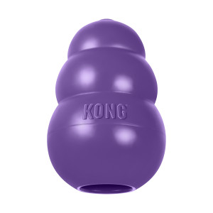 Purple bone-shaped dog toy with rope through the ends.