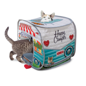 Cat Essentials