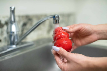 How to Clean a KONG