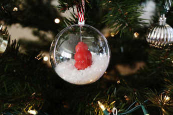 DIY Pet-Themed Holiday Ornaments