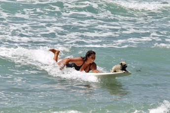 The World of Working Dogs: Chia the Surfing Dog