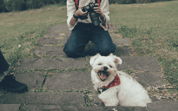Pet Photoshoot Tips